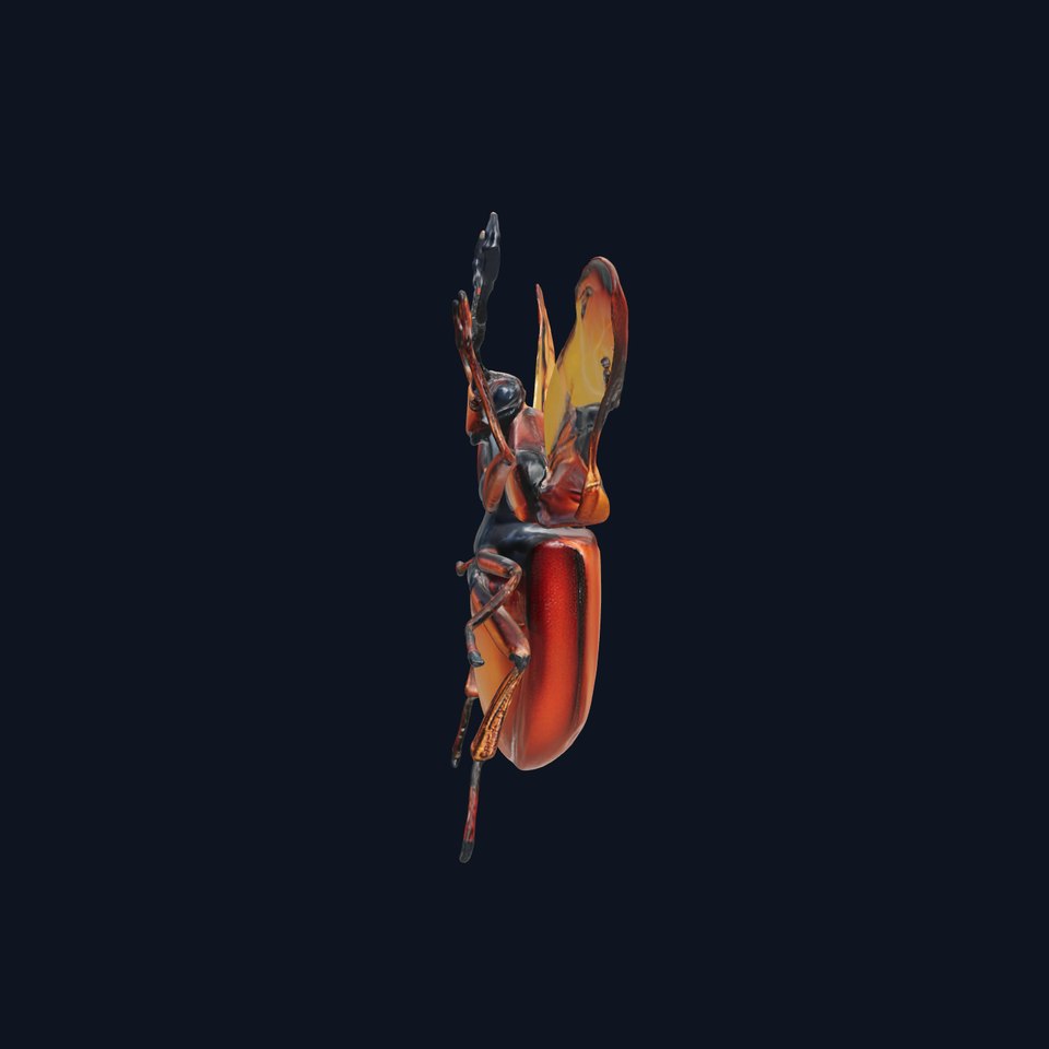 Orange Beetle D Model Pack